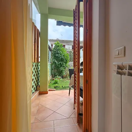 Zigante Новиград