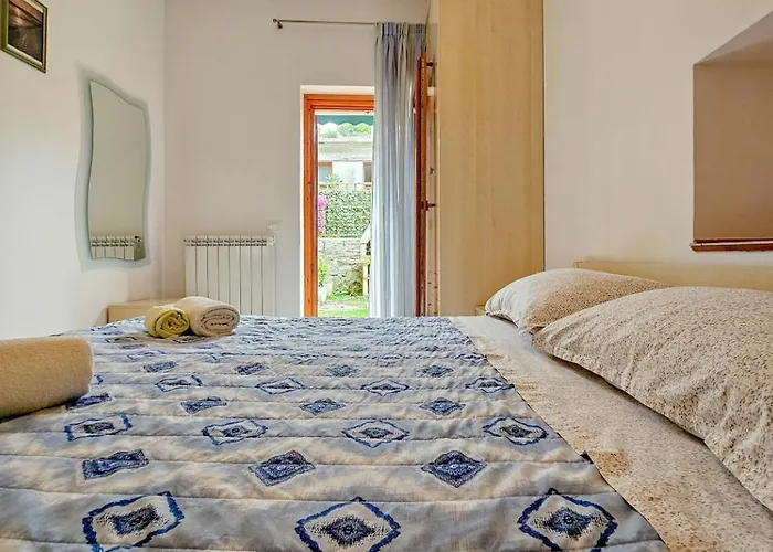 Zigante Novigrad Istria